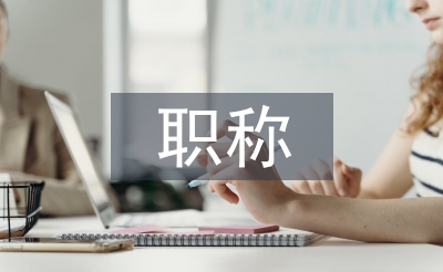 職稱(chēng)工作總結(jié)
