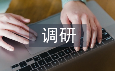 品牌戰(zhàn)略調(diào)研