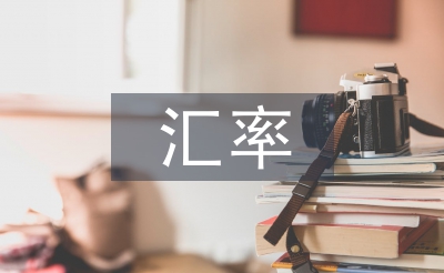 匯率風(fēng)險(xiǎn)論文