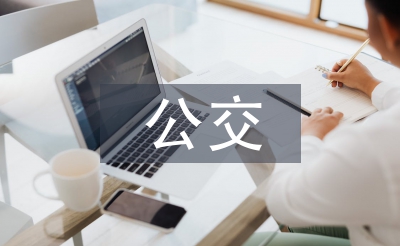 公交調(diào)查報(bào)告