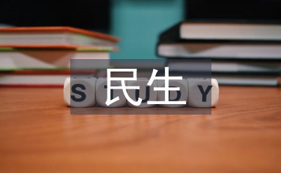 民生工作匯報(bào)