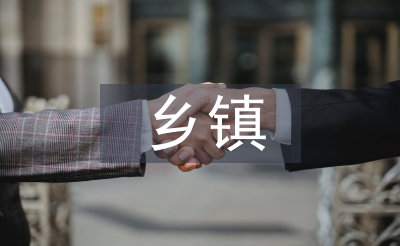 鄉(xiāng)鎮(zhèn)公共行政論文