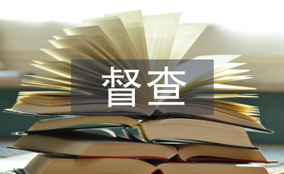 扶貧督查提升工作總結(jié)