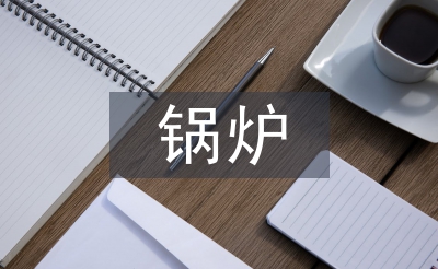 鍋爐考察報(bào)告