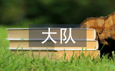 大隊輔導(dǎo)員述職報告