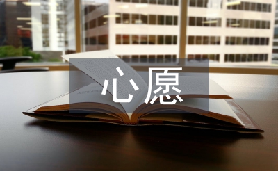 微心愿活動(dòng)總結(jié)