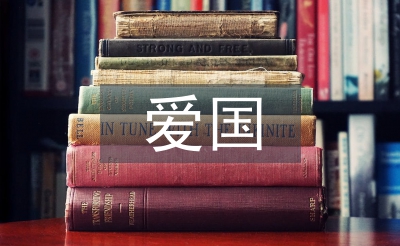 愛(ài)國(guó)活動(dòng)總結(jié)