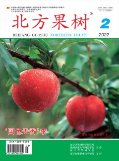 北方果樹雜志