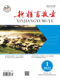 新疆畜牧業(yè)雜志