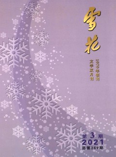雪花雜志