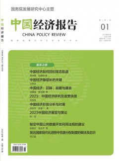 中國經(jīng)濟報告雜志