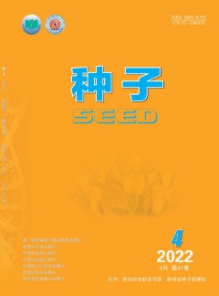 種子雜志