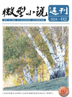 微型小說(shuō)選刊雜志