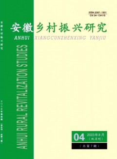 安徽鄉(xiāng)村振興研究