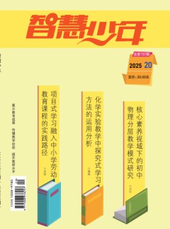 智慧少年