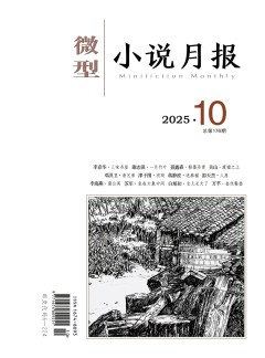 微型小說月報雜志