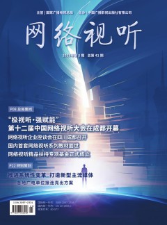 網(wǎng)絡(luò)視聽(tīng)